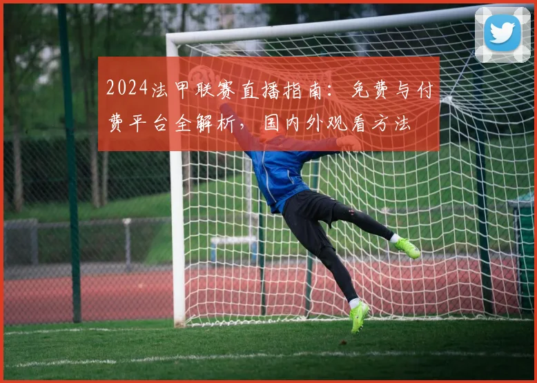 2024法甲联赛直播指南：免费与付费平台全解析，国内外观看方法