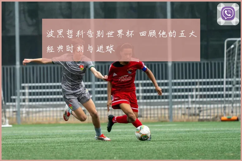 波黑哲科告别世界杯 回顾他的五大经典时刻与进球
